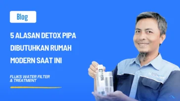 Detox Pipa