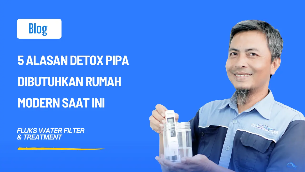 Detox Pipa