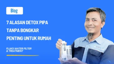 Detox Pipa