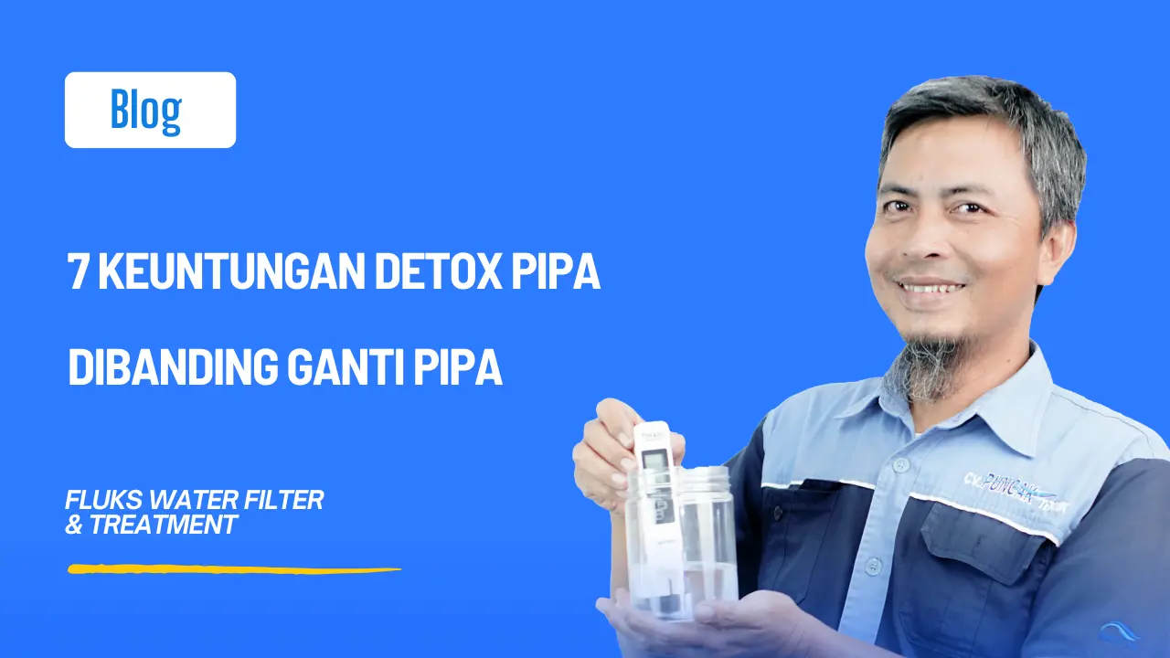 Detox Pipa