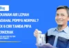 Tekanan Air Lemah Padahal Pompa Normal? Cek 6 Ciri Tanda Pipa Berkerak